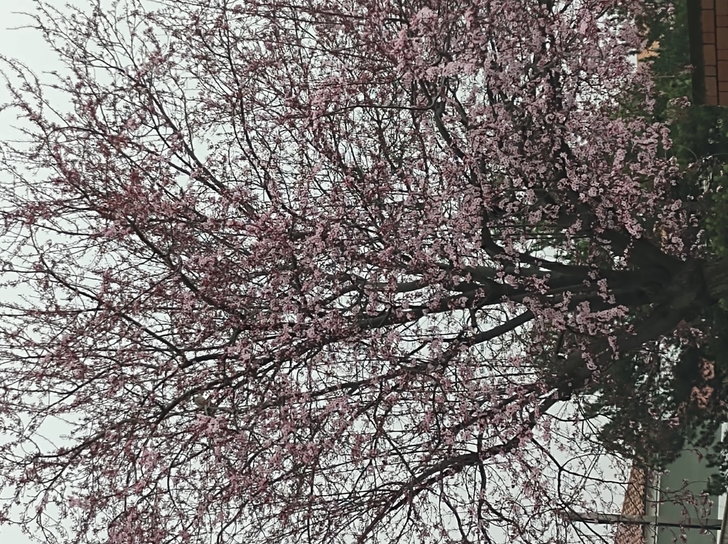 No s'ha trobat l'arxiu